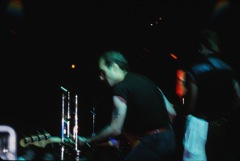 George & Steve